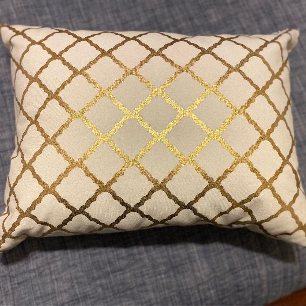 Pottery Barn Teen Dorm Gold and White decorative pillow